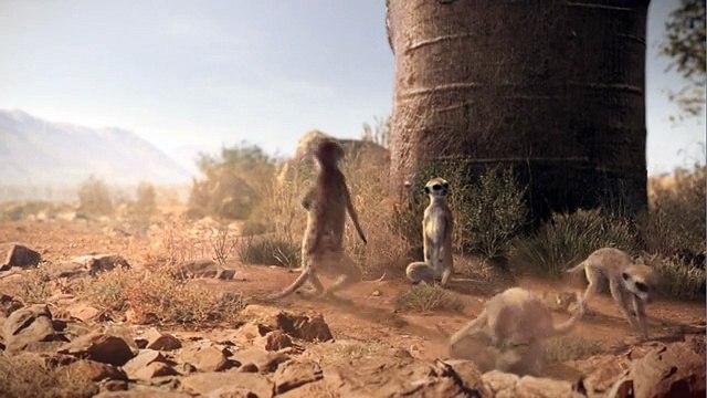 Renault - voiture Nouveau Renault Koleos, Meerkats (suricates) - octobre 2011 - Wildly civilized (sauvagement civilisé)