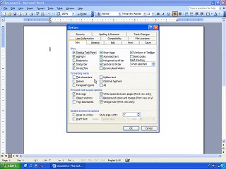 Ms Word 2003 Training- Edit_Preferences (Part 21)