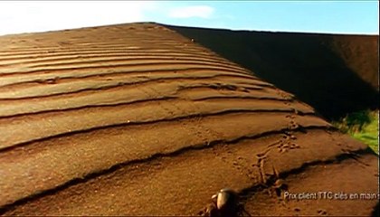 Smart - voiture - avril 2009 - "Open your mind", "Les animaux", scarabée