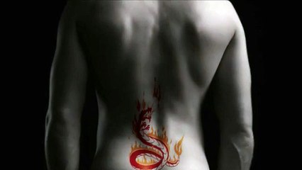 Société française de Rhumatologie, Pfizer - sensibilisation au mal de dos - mai 2010 - "www.dosaumur.com" et "http://leboeuf.dosaumur.com"