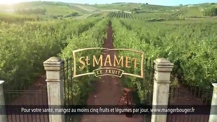 St Mamet, Oasis - compotes de fruits, "Oasis Gourdes" - novembre 2012