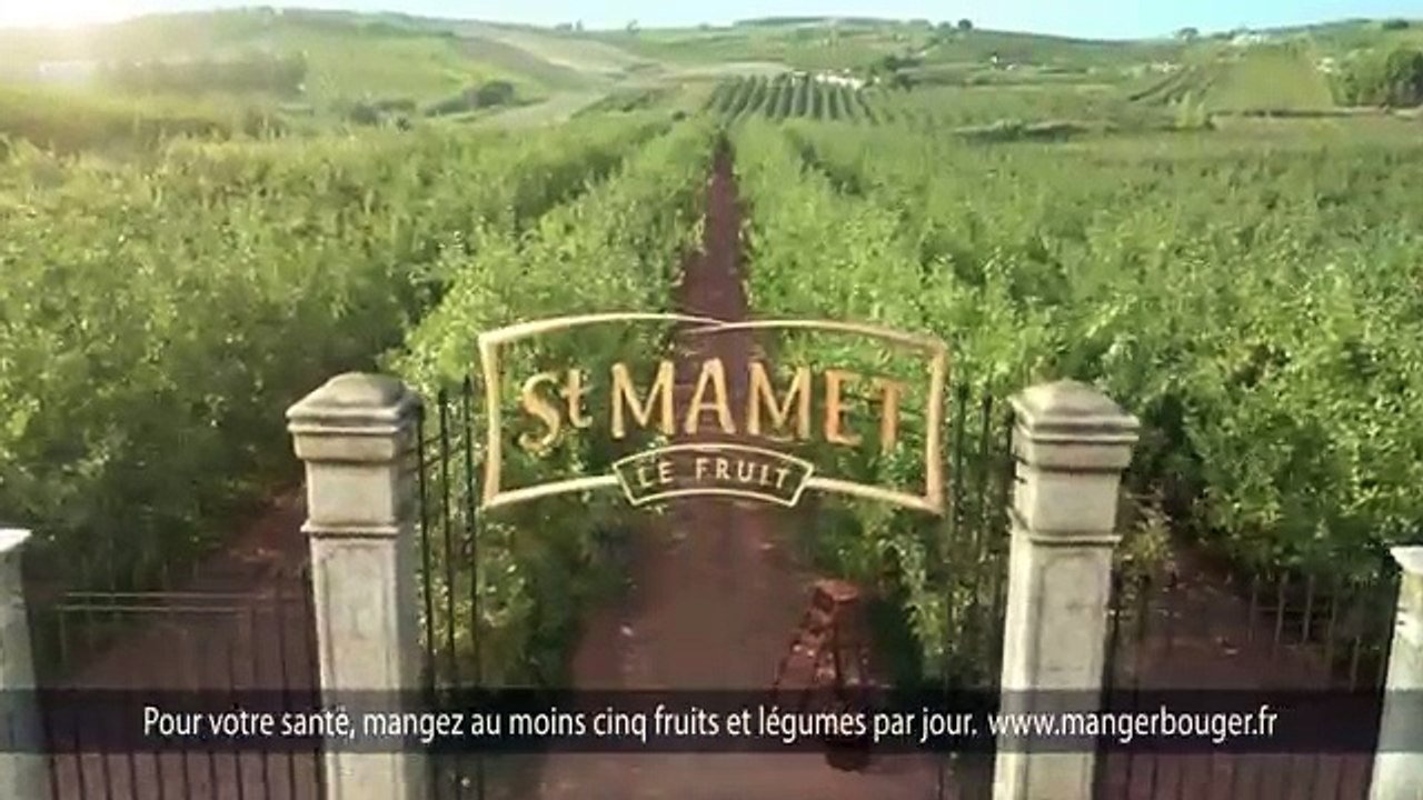 St Mamet, Oasis - compotes de fruits, "Oasis Gourdes" - novembre 2012