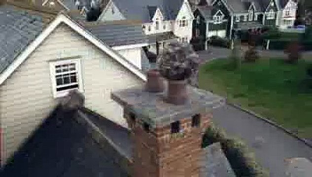 Swiffer (Procter & Gamble) - plumeau XXL et balai contre la poussière, Dustball - juillet 2012