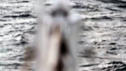 Timberland - vêtements et accessoires, "Billboard" - mars 2012