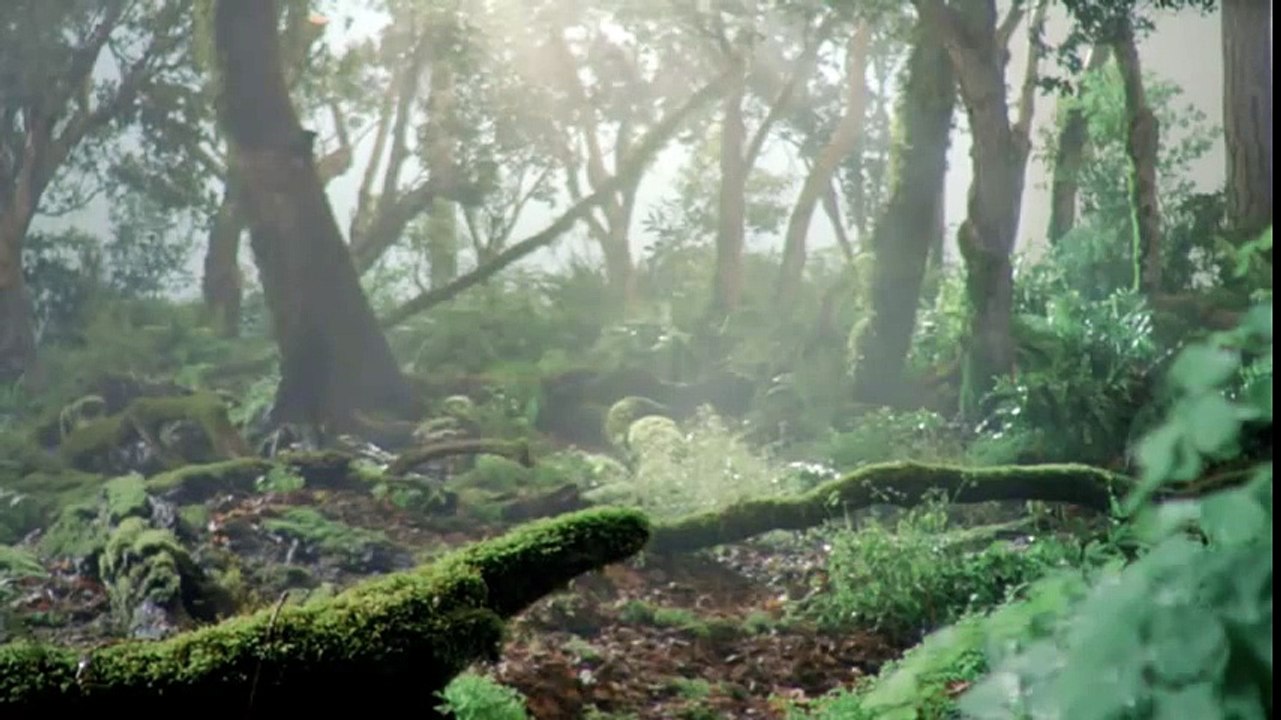 Volkswagen - voiture Beetle - février 2011 - "Black Beetle", 21st century beetle, teaser 16s