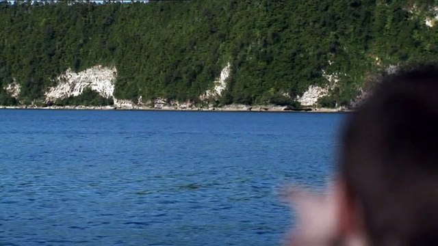 WWF France - protection de l'environnement - mai 2010 - Année de biodiversité , tags