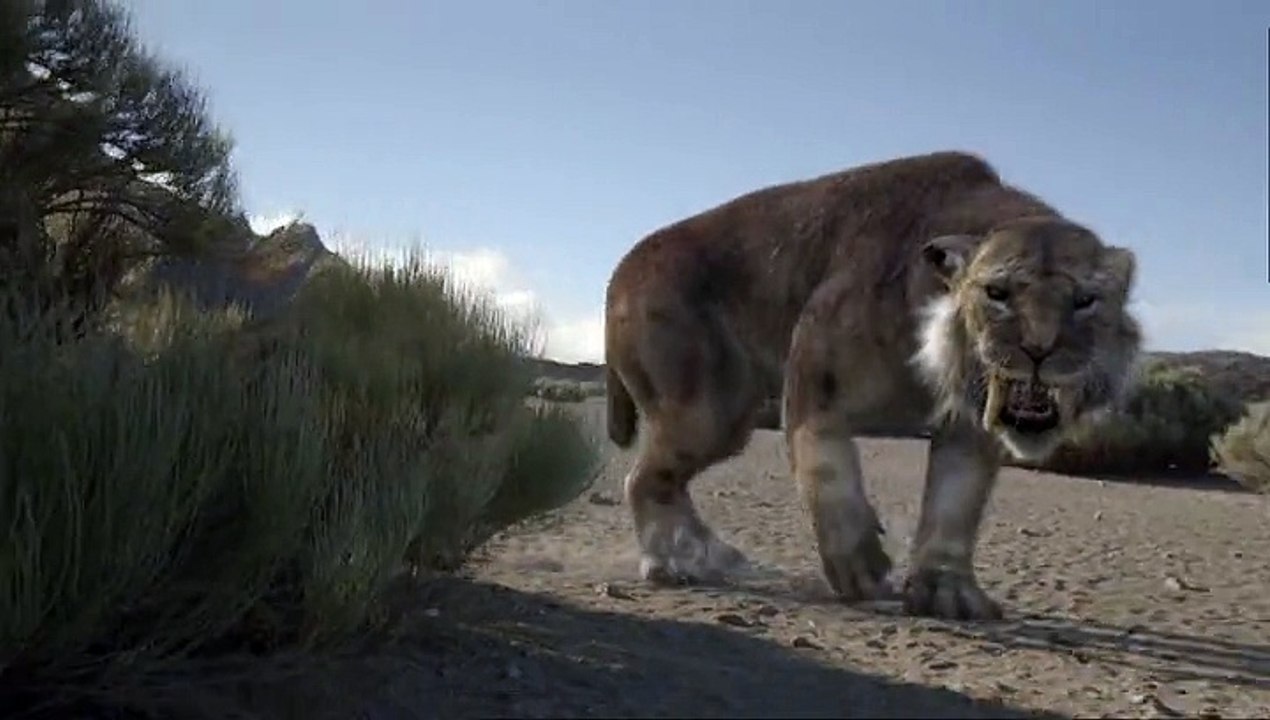 Winamax - site de poker en ligne - avril 2011 - "Homo erectus"