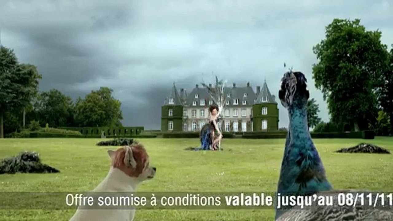 Virgin Mobile - opérateur téléphonique, "Kiki le chihuahua et Massimo le paon" - août 2011
