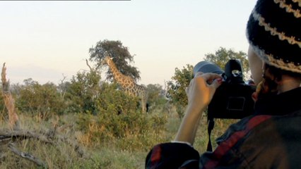 WWF France - protection de l'environnement - mai 2010 - "Année de biodiversité", tags