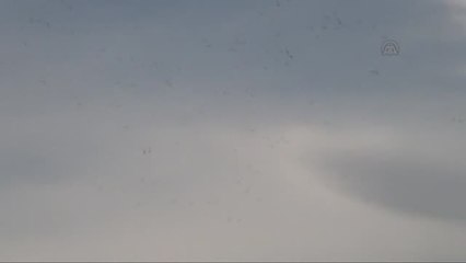 Koruluk Baraj Gölü Buz Tuttu