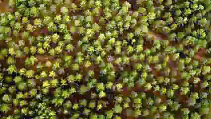 TBWA Etats-Unis pour Apple - produits informatiques et de télécommunication, "Earth Day" - avril 2014