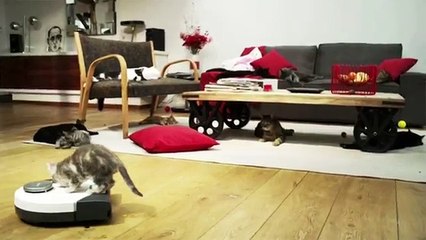 Vorwerk - robot aspirateur Kobold VR100, "Le défi Kobold" - avril 2013