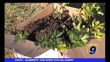 CORATO | Legambiente: "Ogni giorno festa dell'albero"
