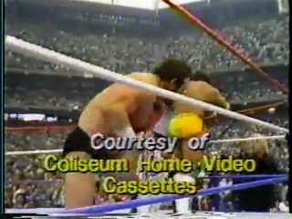 WWF Superstars 1987-05-02