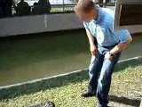 Video animali - coccodrillo che morde