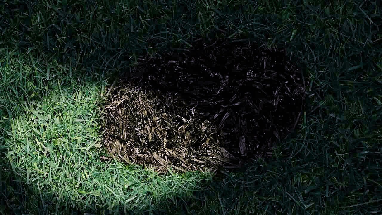 Sodebo - pizza So Ovale - mars 2010 - "Mais pourquoi la pizza Ovale est-elle So Ovale ?", "Hypothèse 1", extra-terrestres