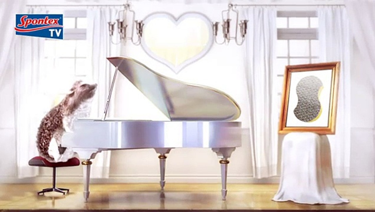 Spontex - éponge Flash Eponge - février 2011 - "Ernie le hérisson et la Saint-Valentin"