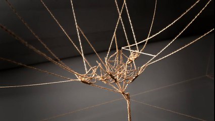 WWF - protection de l'environnement - février 2011 - "We are all connected"