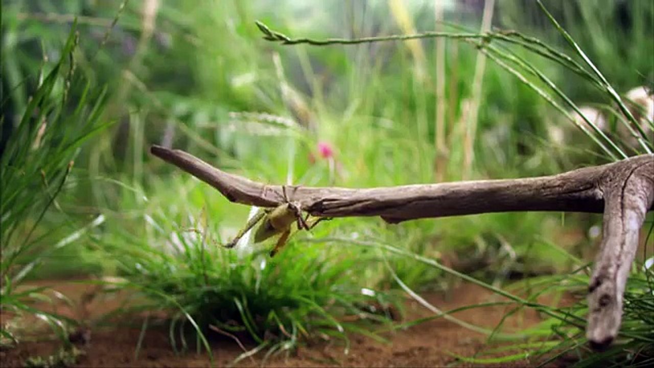 TBWA Paris pour SNCF - compagnie ferroviaire, "Micro prix" - septembre 2013 - les micro prix