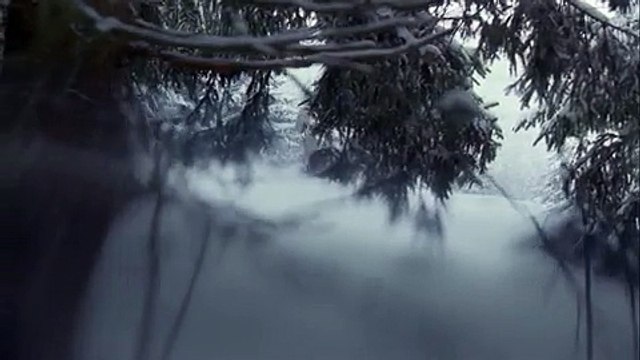 Shangri-la hotels - hôtels, It's in our nature - mai 2010