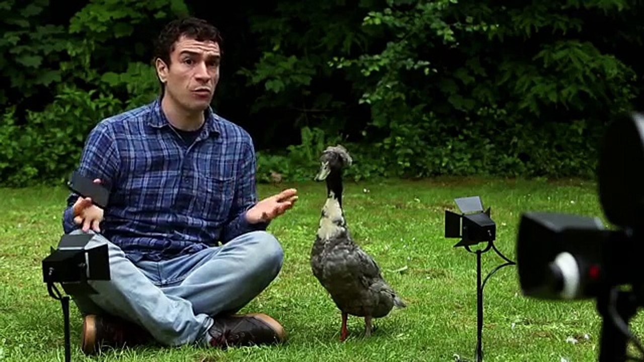 Starcom, Golden Moustache pour Fanta (The Coca-Cola Company) - soda, «Les défis Fanta 100» - juillet 2014