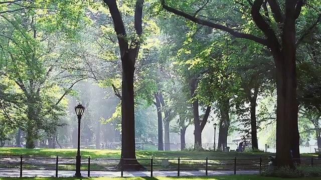 Super Heroes Netherlands pour Asus - ordinateur portable Asus T100, «The world's most modern bird» - novembre 2014