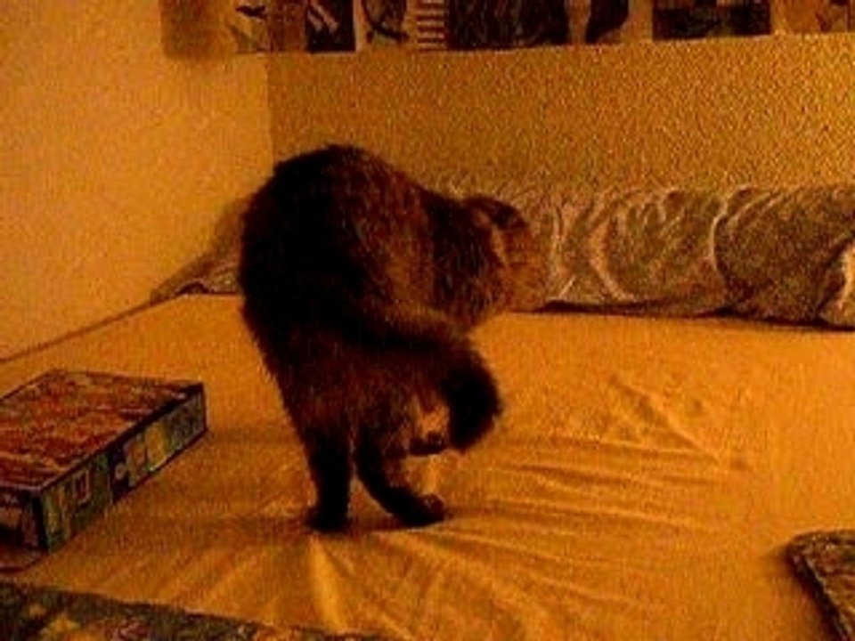 Brindille & son crunch céréales II