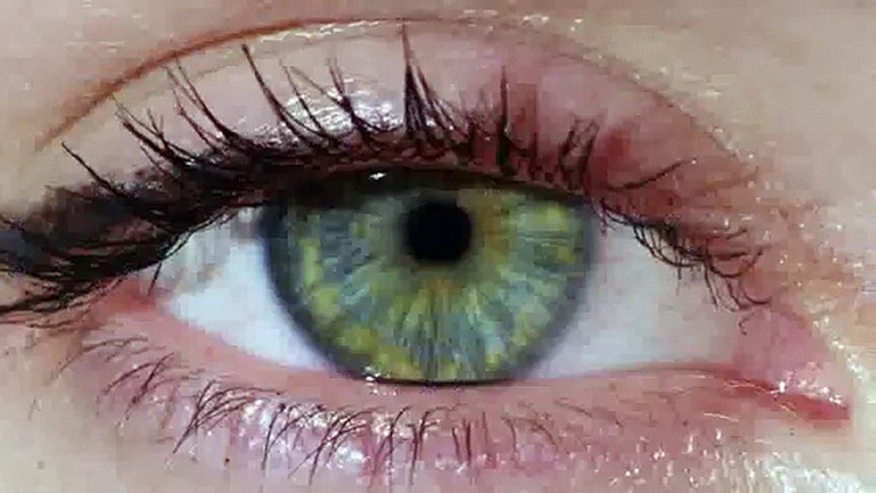 WNP pour Diesel - montres, «Diesel Watch» - décembre 2014