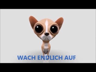 Lieblingsspiel der Deutschen - Schlag den Moslem - Tems News - CT