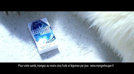 Wrigley's - chewing-gum Freedent Fusion - avril 2009 - "Bien plus qu'un chewing-gum", "The Bear", "L"ours"
