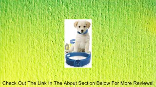 Flea Collar for Medium Dogs (30-60 Lbs) Review