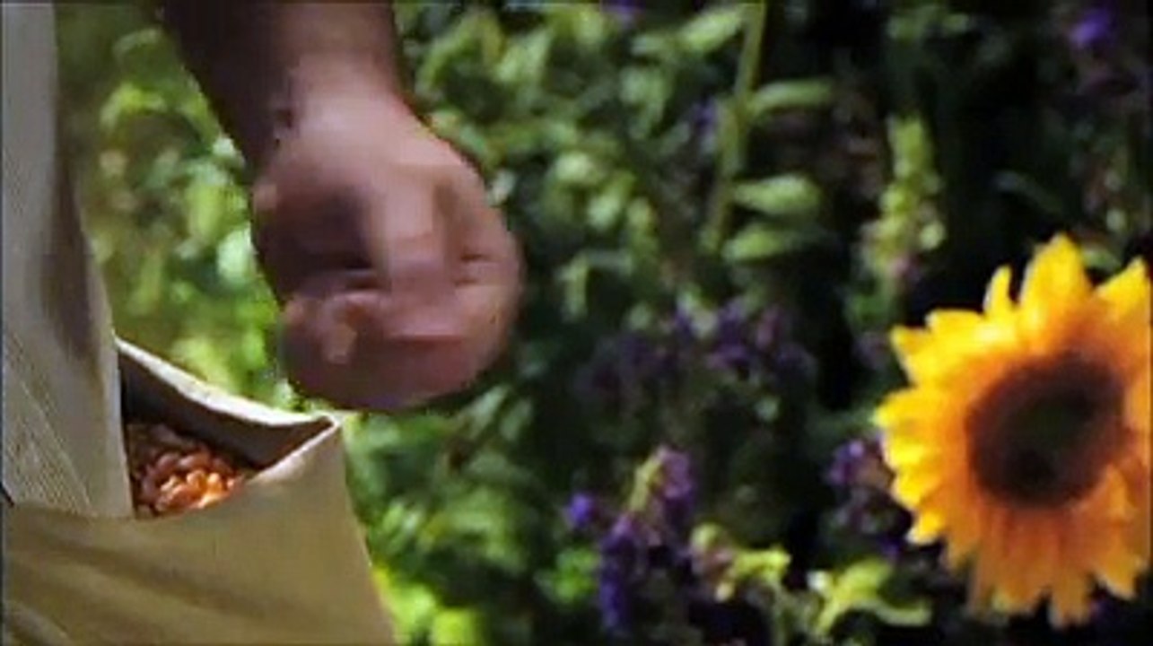 Sun - pastilles pour lave-vaisselle - janvier 2010 - "Sun Green"