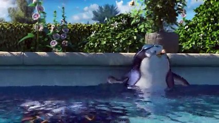 Zodiac Pool Care Europe - pompes à chaleur pour piscines - avril 2010 - "Les pingouins"