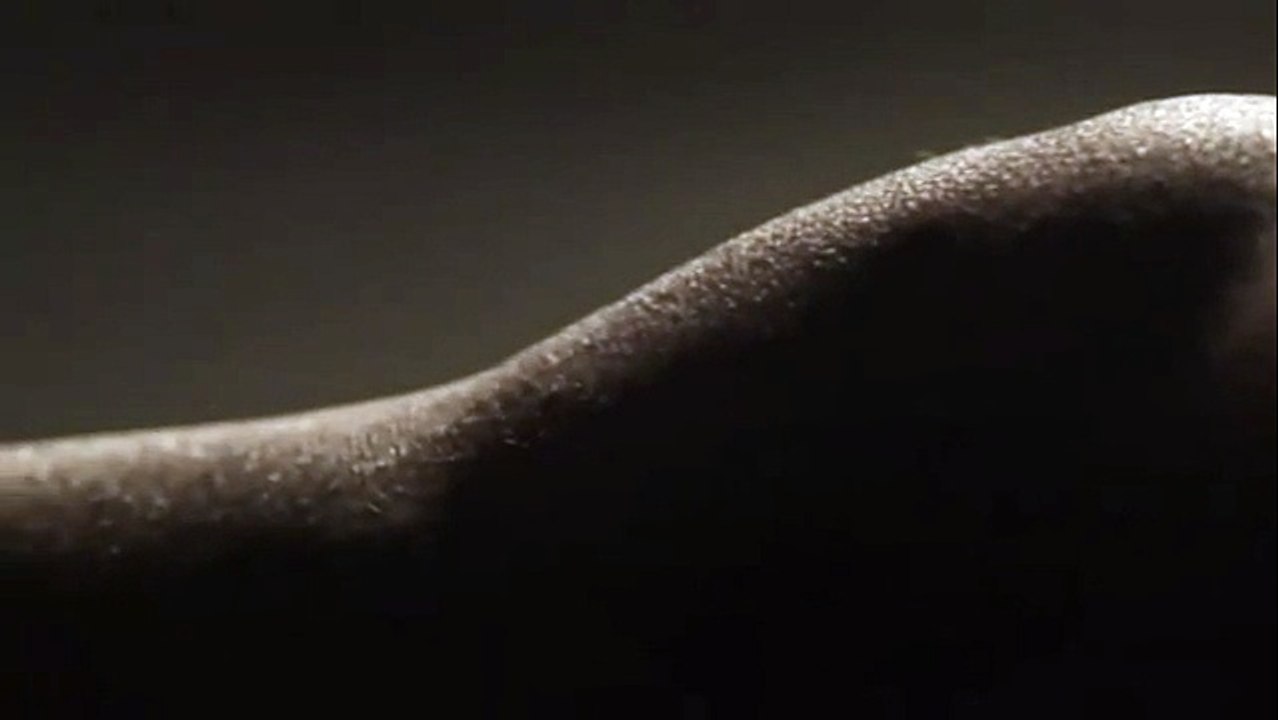 Samsung - ordianteur portable Samsung SF Notebook - décembre 2010 - "True beauty is curved"