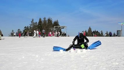 SNCM - transporteur maritime, "Prenez de l'avance sur vos vancances" - mars 2013 - pelle et râteau