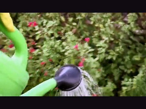 Stratégies - La Ré-création n°21 - octobre 2009