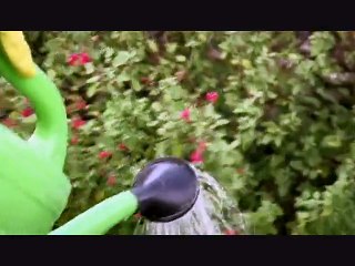 Stratégies - La Ré-création n°21 - octobre 2009