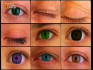 Cerebro: Latencia de respuesta oculomotora