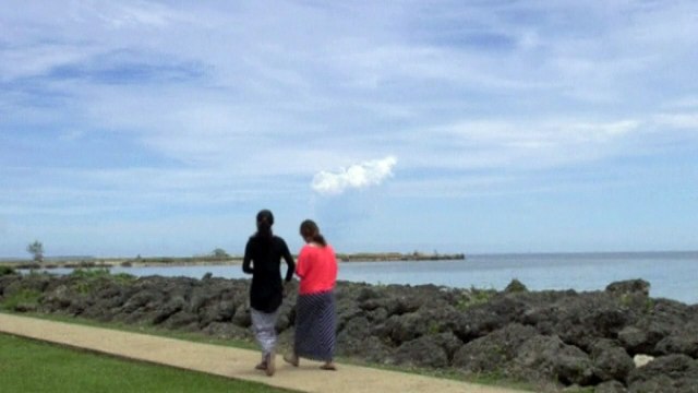 Ash cloud from underwater volcano off Tonga cancels flights