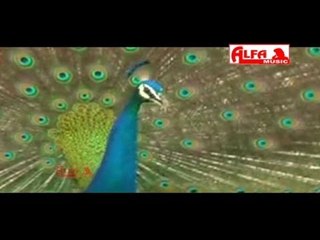 Rajasthani Songs | Jaikaro Tharo Mor Bole Re