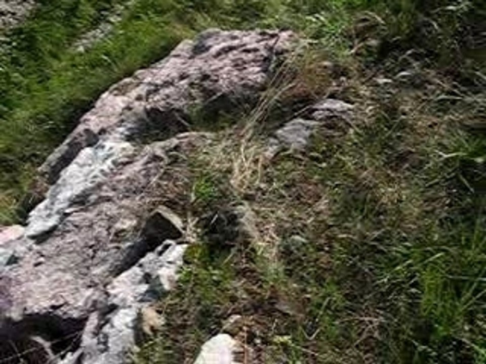 Rallye-Cédric Robert