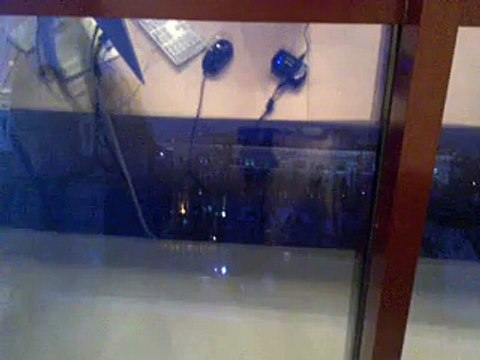 Uploaded video via Globalistan iOS (среда января 14, 2015 4:34 после полудня, GMT+2)