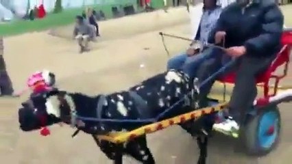 eh ki ho reha -