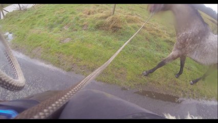 2015.01.14.exterieur.e