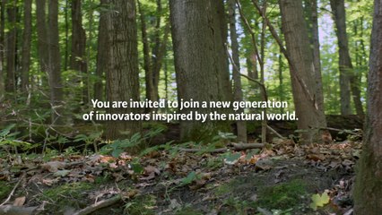 Biomimicry Global Design Challenge Opens January 20th