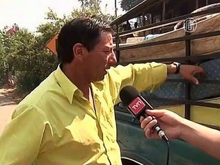 Пожары в Чили уничтожили школу