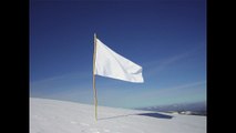 Bandera Blanca Jencarlos Canela