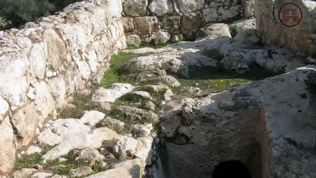 Три типа древних цивилизаций. Александр Колтыпин