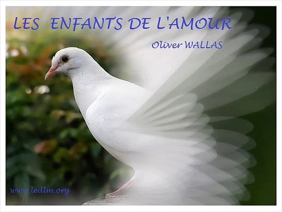 LES ENFANTS DE L'AMOUR Oliver WALLAS