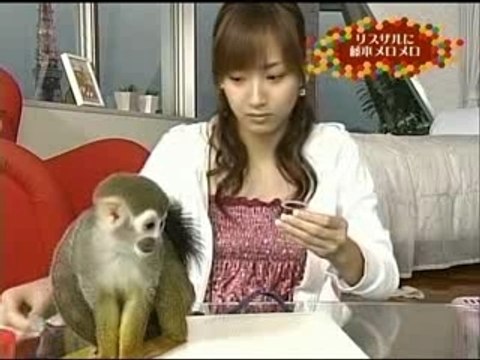 Dokyu 173 - Fujimoto Miki (Subtitled)